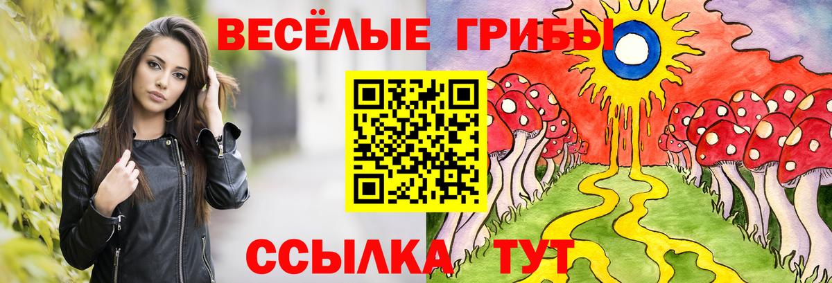 Галлюциногенные грибы прущие грибы  Вход с VPN  Кисловодск  купить   Псилоцибиновые грибы Psilocybine cubensis 