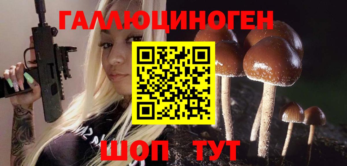 Псилоцибиновые грибы ЛСД Кисловодск